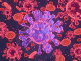 A colourful microscopic image of a virus